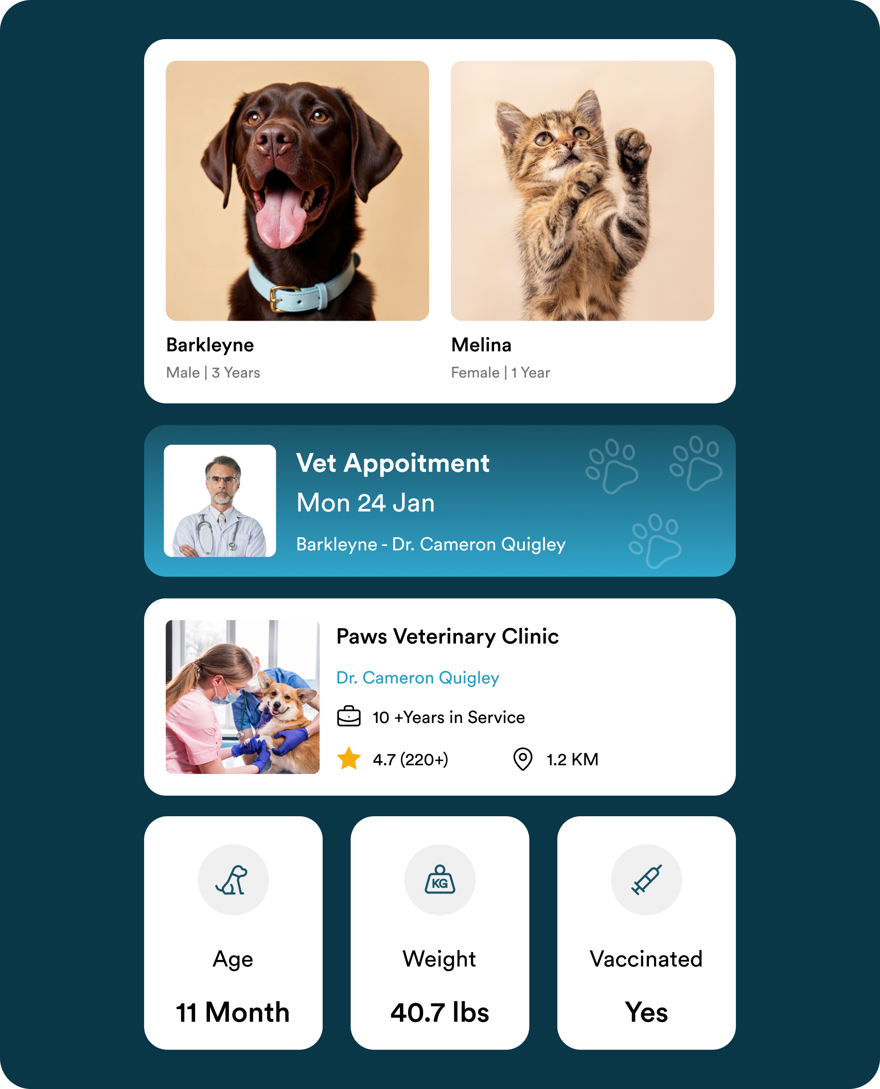 Digital Pet Health Report and Tracking Dashboard