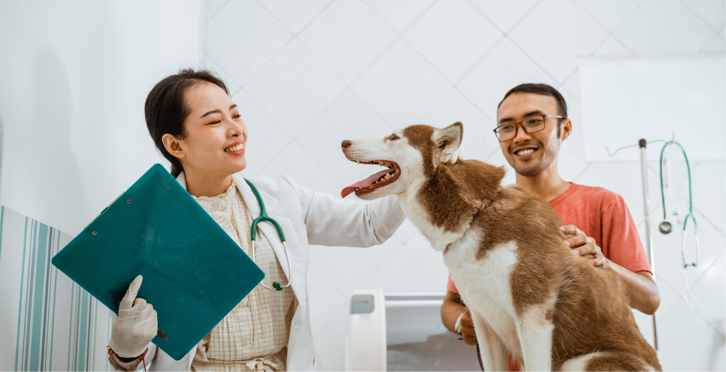 Pet Health Tracking Dashboard for Owners and Clinics