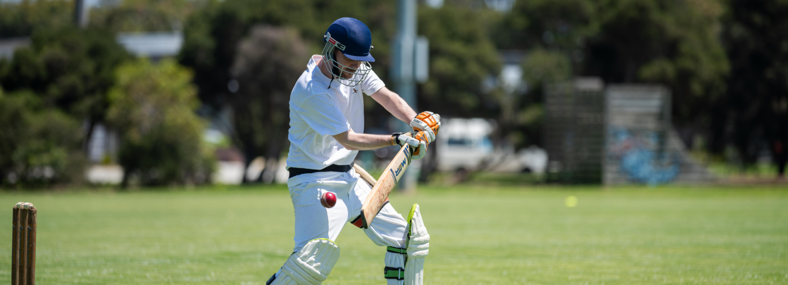 Fantasy Sports & Live Cricket Management Platform